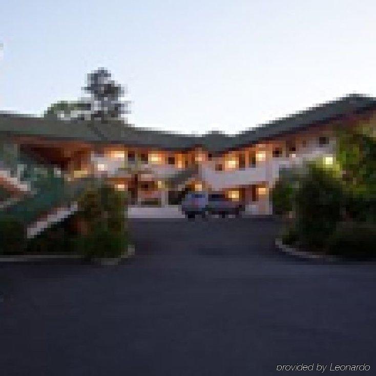 Ashwood Manor Motor Lodge Гамильтон Экстерьер фото
