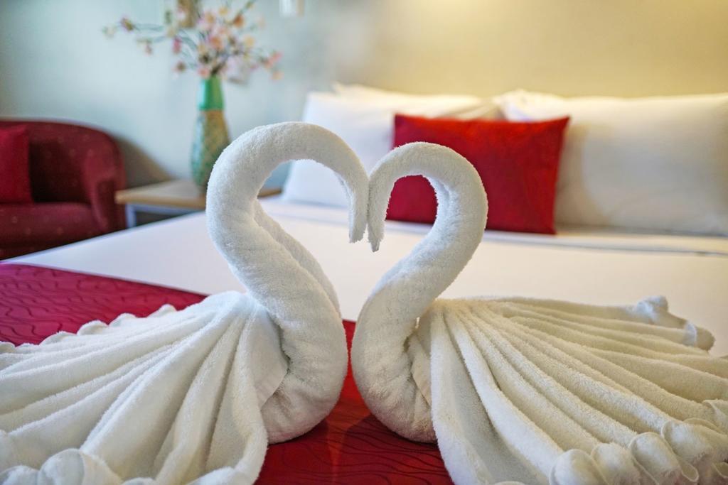 Ashwood Manor Motor Lodge Гамильтон Экстерьер фото